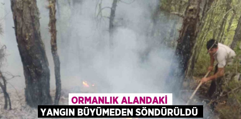 ORMANLIK ALANDAKİ YANGIN BÜYÜMEDEN SÖNDÜRÜLDÜ