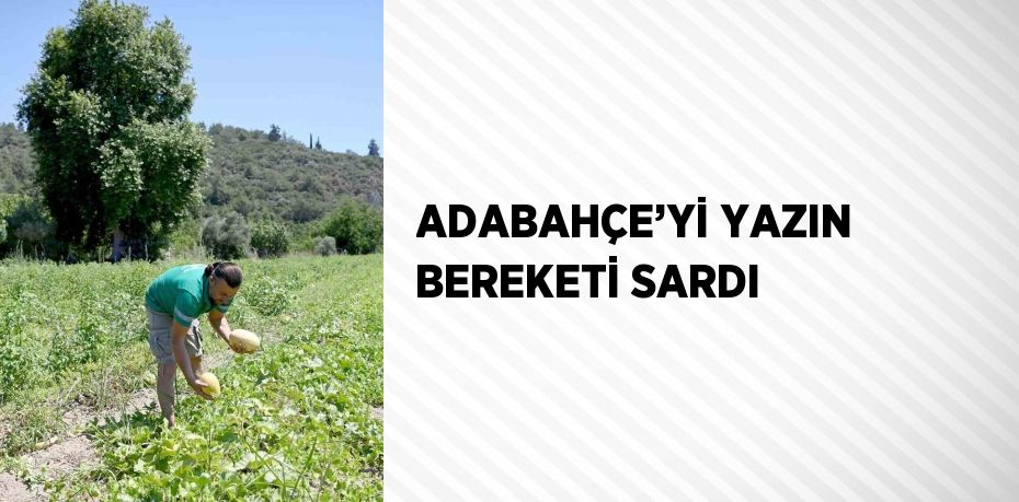 ADABAHÇE’Yİ YAZIN BEREKETİ SARDI