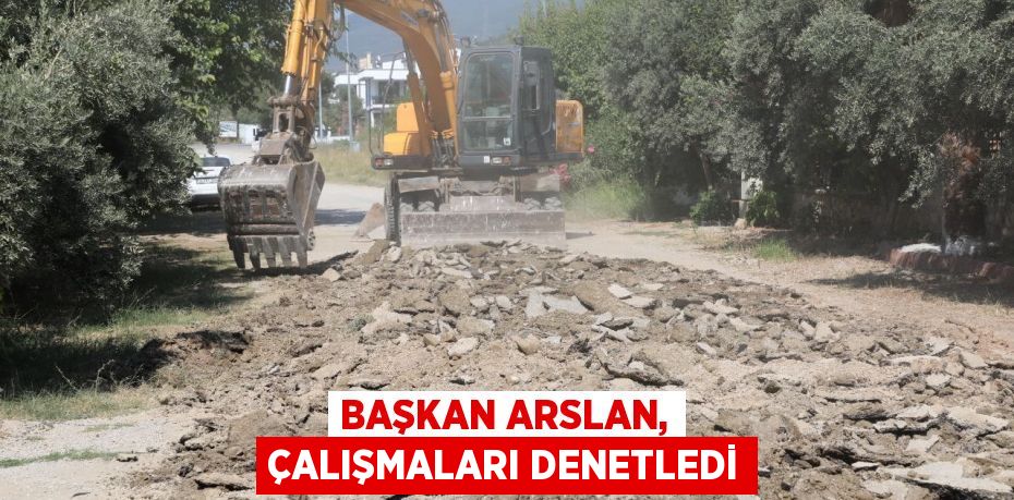 Başkan Arslan, çalışmaları denetledi