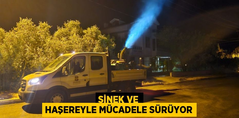 Sinek ve haşereyle mücadele sürüyor