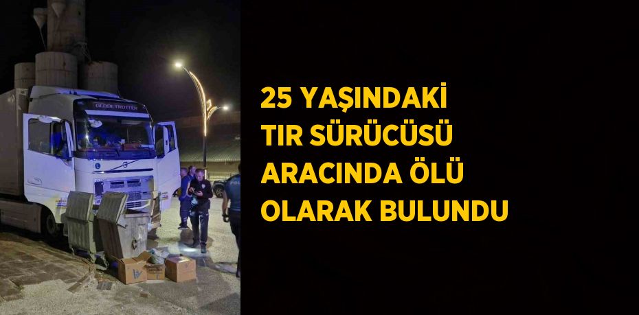 25 YAŞINDAKİ TIR SÜRÜCÜSÜ ARACINDA ÖLÜ OLARAK BULUNDU