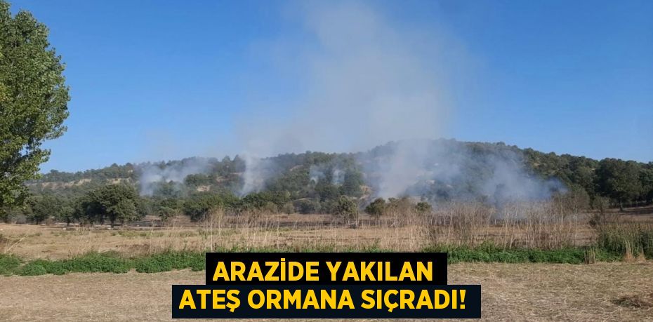 ARAZİDE YAKILAN ATEŞ ORMANA SIÇRADI!