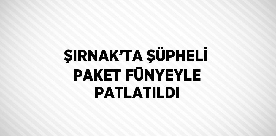 ŞIRNAK’TA ŞÜPHELİ PAKET FÜNYEYLE PATLATILDI