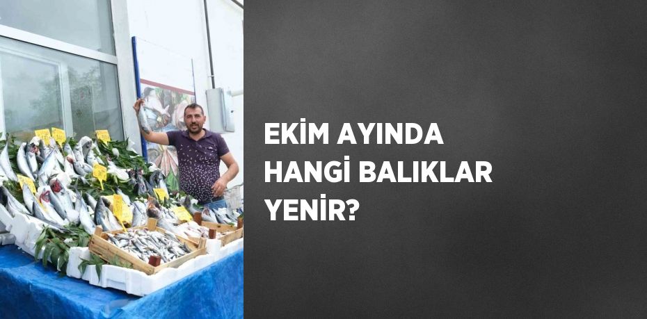 EKİM AYINDA HANGİ BALIKLAR YENİR?