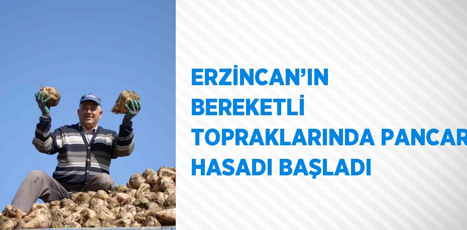 ERZİNCAN’IN BEREKETLİ TOPRAKLARINDA PANCAR HASADI BAŞLADI