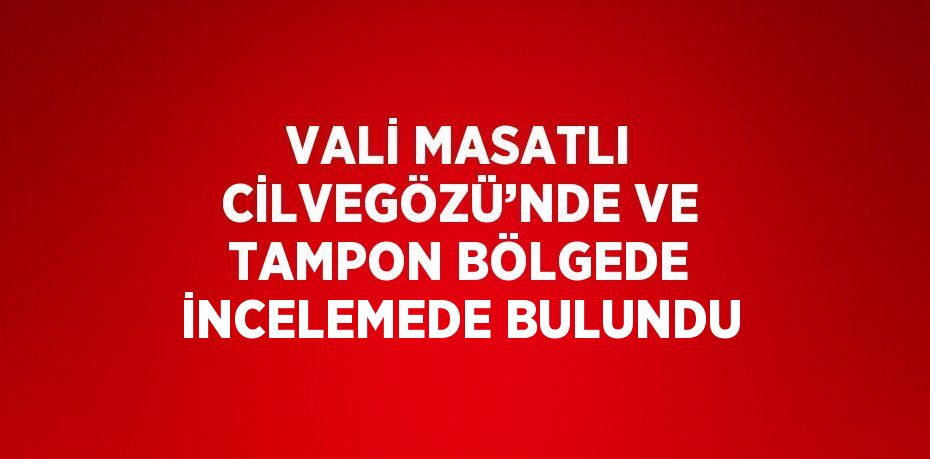 VALİ MASATLI CİLVEGÖZÜ’NDE VE TAMPON BÖLGEDE İNCELEMEDE BULUNDU