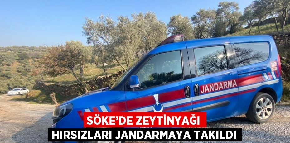 SÖKE’DE ZEYTİNYAĞI HIRSIZLARI JANDARMAYA TAKILDI