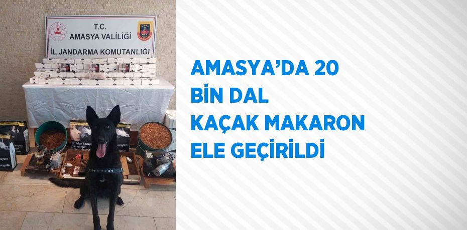 AMASYA’DA 20 BİN DAL KAÇAK MAKARON ELE GEÇİRİLDİ