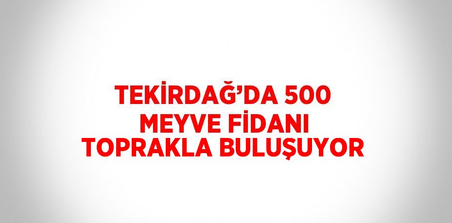 TEKİRDAĞ’DA 500 MEYVE FİDANI TOPRAKLA BULUŞUYOR