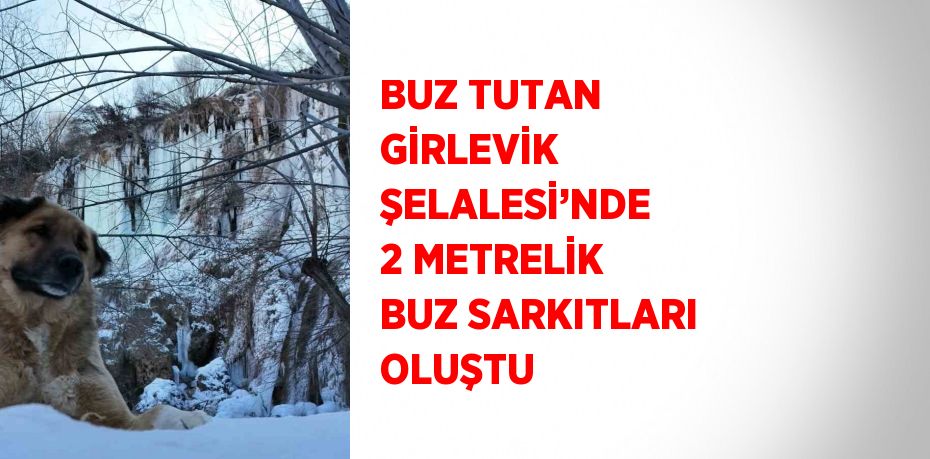 BUZ TUTAN GİRLEVİK ŞELALESİ’NDE 2 METRELİK BUZ SARKITLARI OLUŞTU