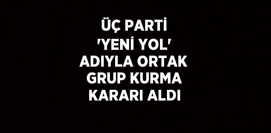 ÜÇ PARTİ 'YENİ YOL' ADIYLA ORTAK GRUP KURMA KARARI ALDI