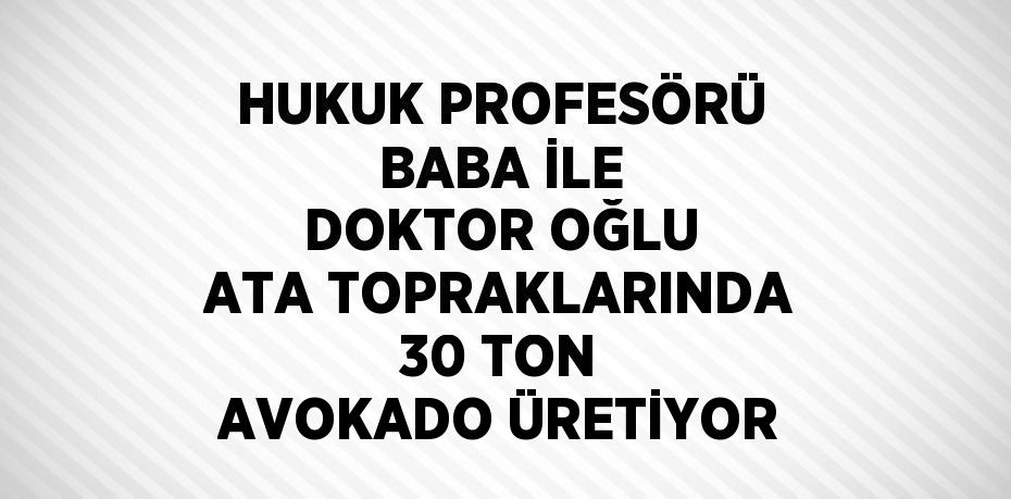 HUKUK PROFESÖRÜ BABA İLE DOKTOR OĞLU ATA TOPRAKLARINDA 30 TON AVOKADO ÜRETİYOR