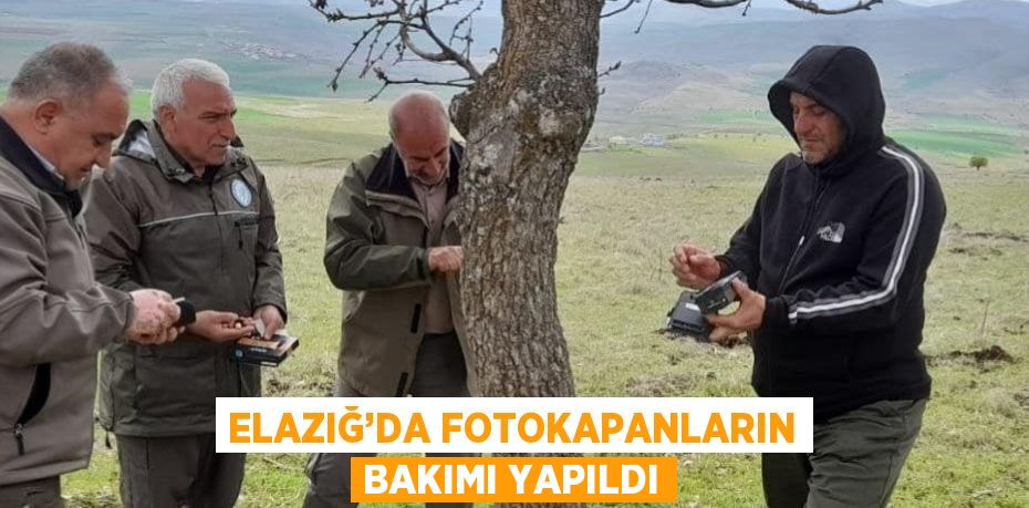 ELAZIĞ’DA FOTOKAPANLARIN BAKIMI YAPILDI