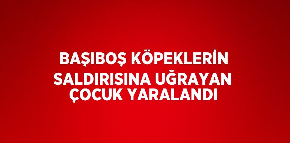 BAŞIBOŞ KÖPEKLERİN SALDIRISINA UĞRAYAN ÇOCUK YARALANDI