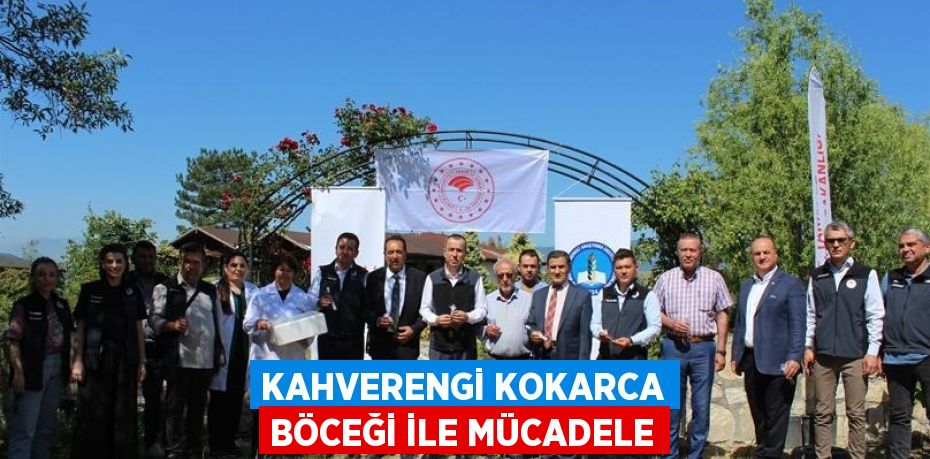 KAHVERENGİ KOKARCA BÖCEĞİ İLE MÜCADELE