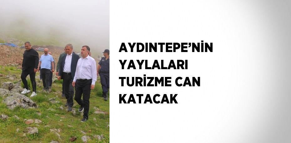 AYDINTEPE’NİN YAYLALARI TURİZME CAN KATACAK