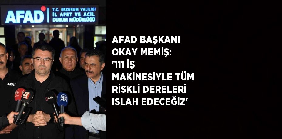 AFAD BAŞKANI OKAY MEMİŞ: '111 İŞ MAKİNESİYLE TÜM RİSKLİ DERELERİ ISLAH EDECEĞİZ'