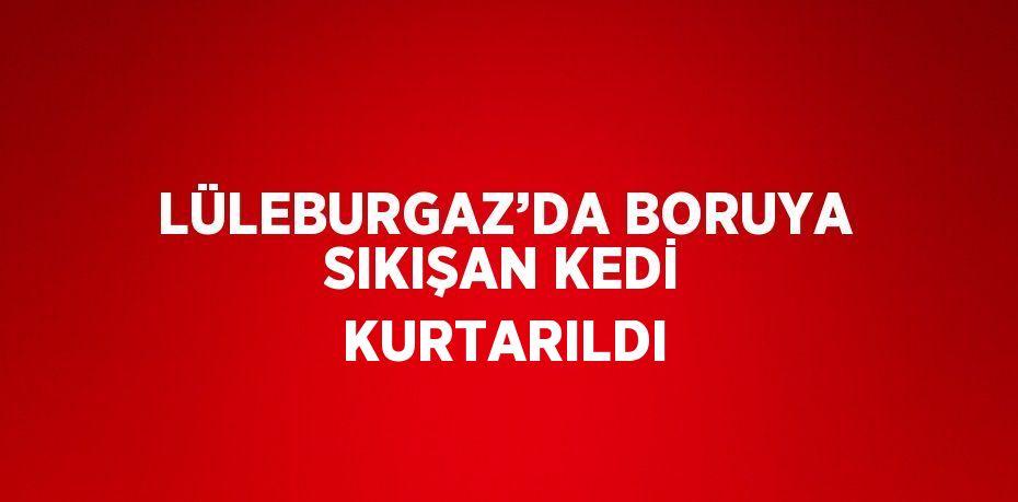 LÜLEBURGAZ’DA BORUYA SIKIŞAN KEDİ KURTARILDI