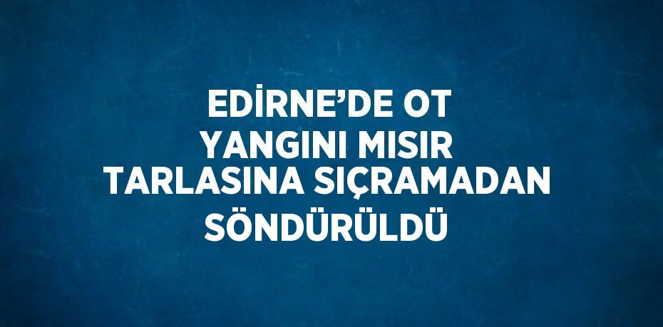 EDİRNE’DE OT YANGINI MISIR TARLASINA SIÇRAMADAN SÖNDÜRÜLDÜ