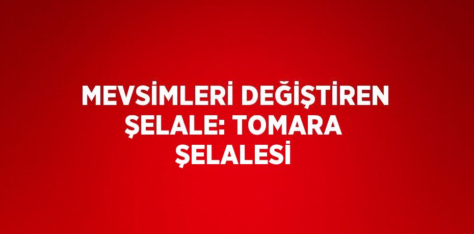 MEVSİMLERİ DEĞİŞTİREN ŞELALE: TOMARA ŞELALESİ