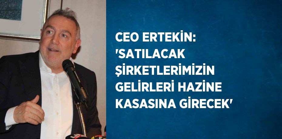 CEO ERTEKİN: 'SATILACAK ŞİRKETLERİMİZİN GELİRLERİ HAZİNE KASASINA GİRECEK'