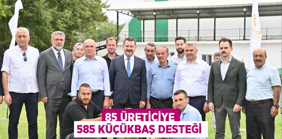 85 üreticiye 585 küçükbaş desteği