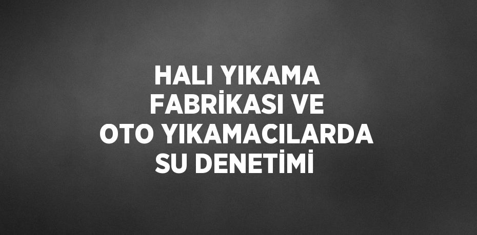 HALI YIKAMA FABRİKASI VE OTO YIKAMACILARDA SU DENETİMİ