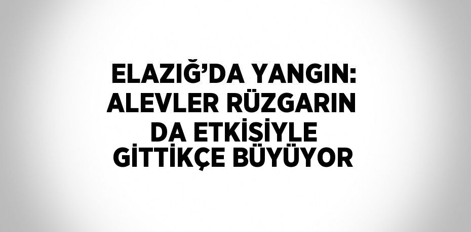 ELAZIĞ’DA YANGIN: ALEVLER RÜZGARIN DA ETKİSİYLE GİTTİKÇE BÜYÜYOR