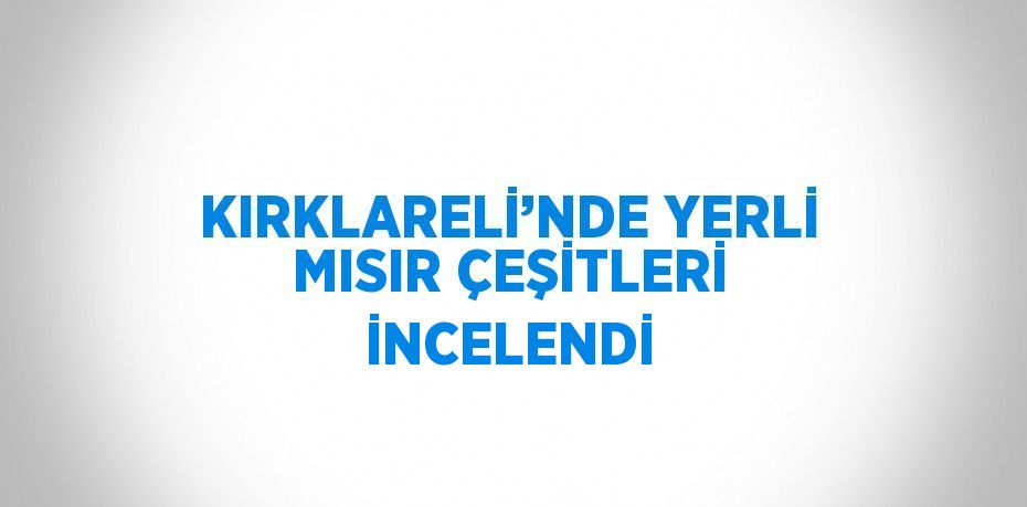 KIRKLARELİ’NDE YERLİ MISIR ÇEŞİTLERİ İNCELENDİ