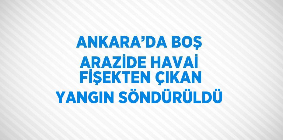 ANKARA’DA BOŞ ARAZİDE HAVAİ FİŞEKTEN ÇIKAN YANGIN SÖNDÜRÜLDÜ