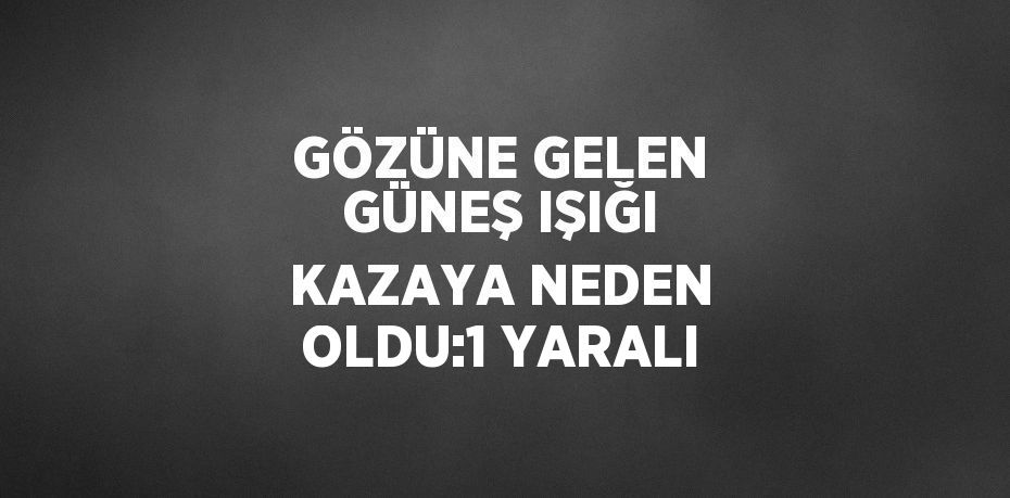 GÖZÜNE GELEN GÜNEŞ IŞIĞI KAZAYA NEDEN OLDU:1 YARALI