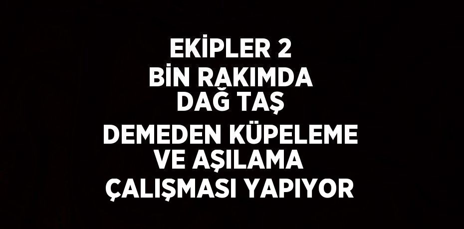 EKİPLER 2 BİN RAKIMDA DAĞ TAŞ DEMEDEN KÜPELEME VE AŞILAMA ÇALIŞMASI YAPIYOR