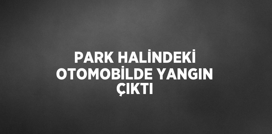 PARK HALİNDEKİ OTOMOBİLDE YANGIN ÇIKTI