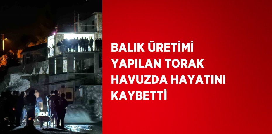 BALIK ÜRETİMİ YAPILAN TORAK HAVUZDA HAYATINI KAYBETTİ