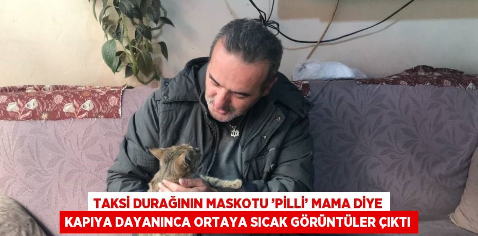 TAKSİ DURAĞININ MASKOTU ’PİLLİ’ MAMA DİYE KAPIYA DAYANINCA ORTAYA SICAK GÖRÜNTÜLER ÇIKTI