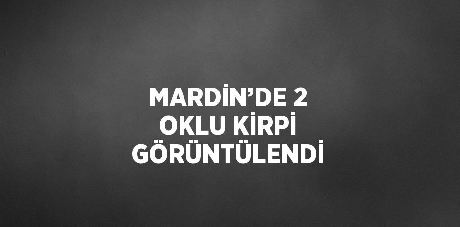 MARDİN’DE 2 OKLU KİRPİ GÖRÜNTÜLENDİ