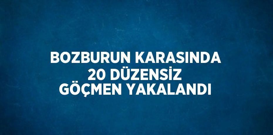 BOZBURUN KARASINDA 20 DÜZENSİZ GÖÇMEN YAKALANDI