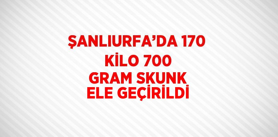 ŞANLIURFA’DA 170 KİLO 700 GRAM SKUNK ELE GEÇİRİLDİ