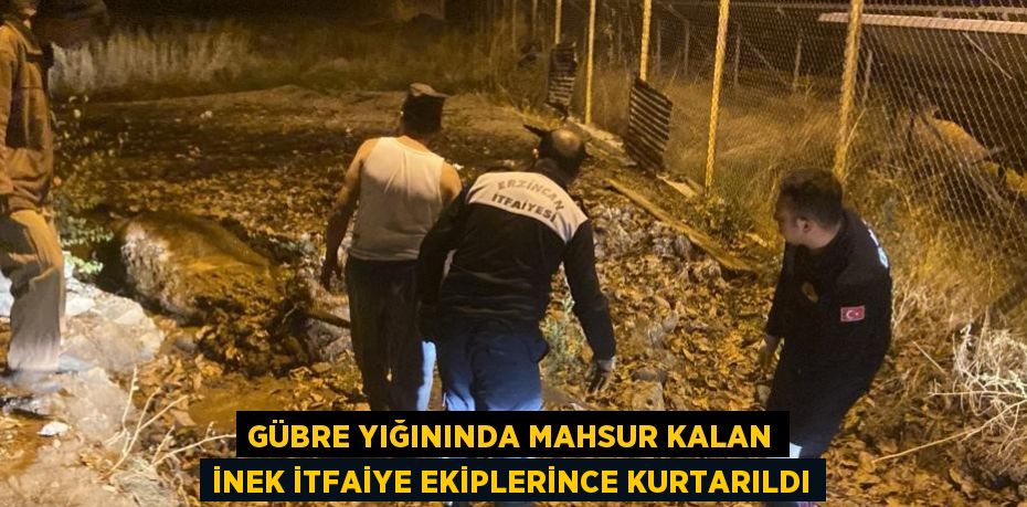 GÜBRE YIĞININDA MAHSUR KALAN İNEK İTFAİYE EKİPLERİNCE KURTARILDI