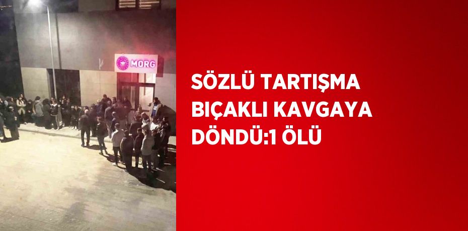 SÖZLÜ TARTIŞMA BIÇAKLI KAVGAYA DÖNDÜ:1 ÖLÜ