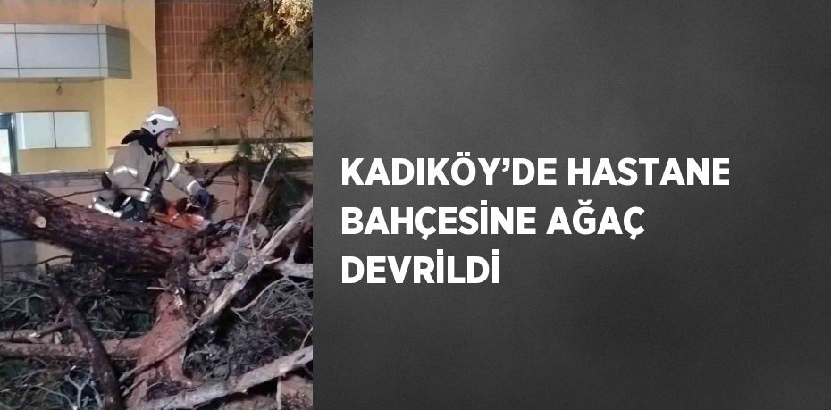 KADIKÖY’DE HASTANE BAHÇESİNE AĞAÇ DEVRİLDİ