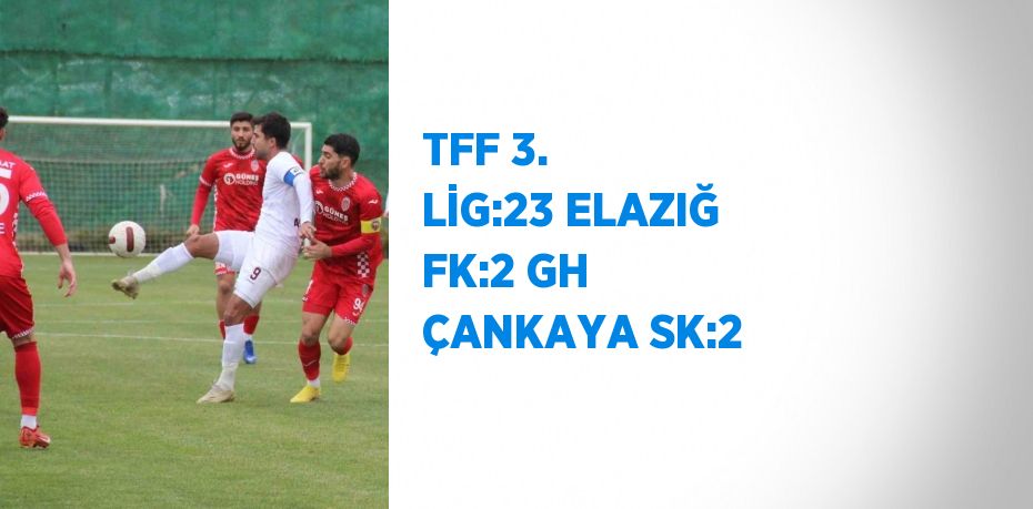 TFF 3. LİG:23 ELAZIĞ FK:2 GH ÇANKAYA SK:2