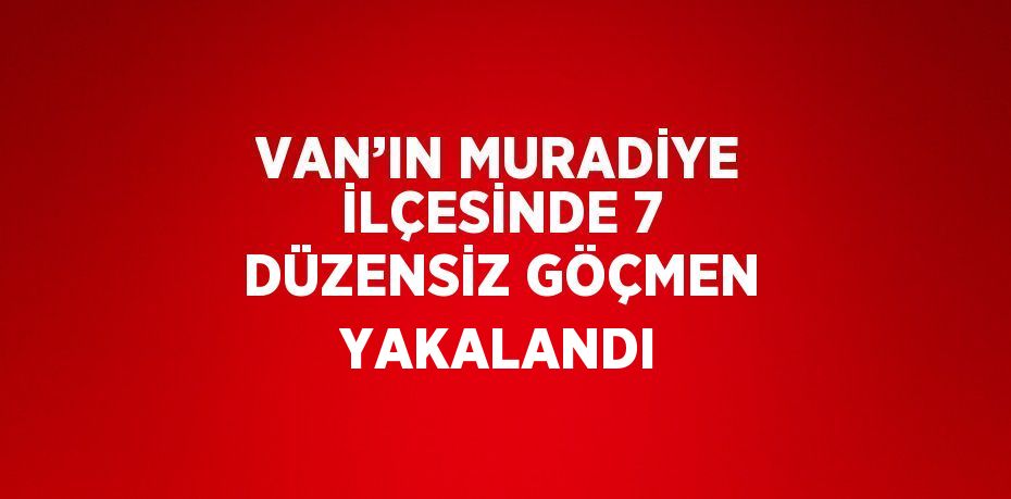 VAN’IN MURADİYE İLÇESİNDE 7 DÜZENSİZ GÖÇMEN YAKALANDI