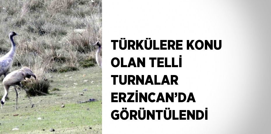 TÜRKÜLERE KONU OLAN TELLİ TURNALAR ERZİNCAN’DA GÖRÜNTÜLENDİ