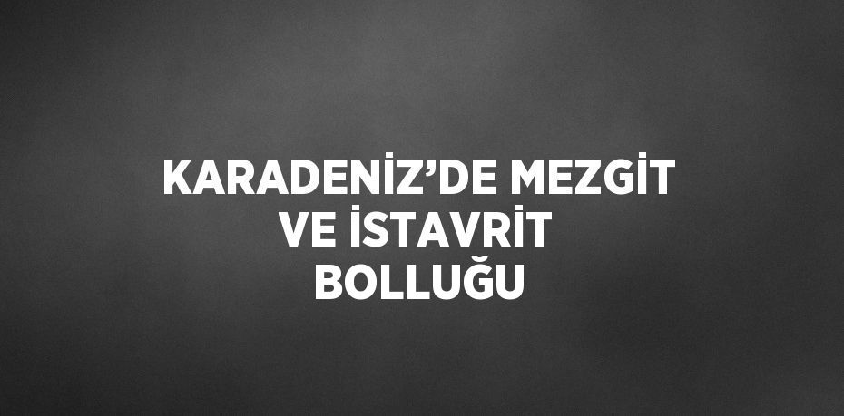 KARADENİZ’DE MEZGİT VE İSTAVRİT BOLLUĞU