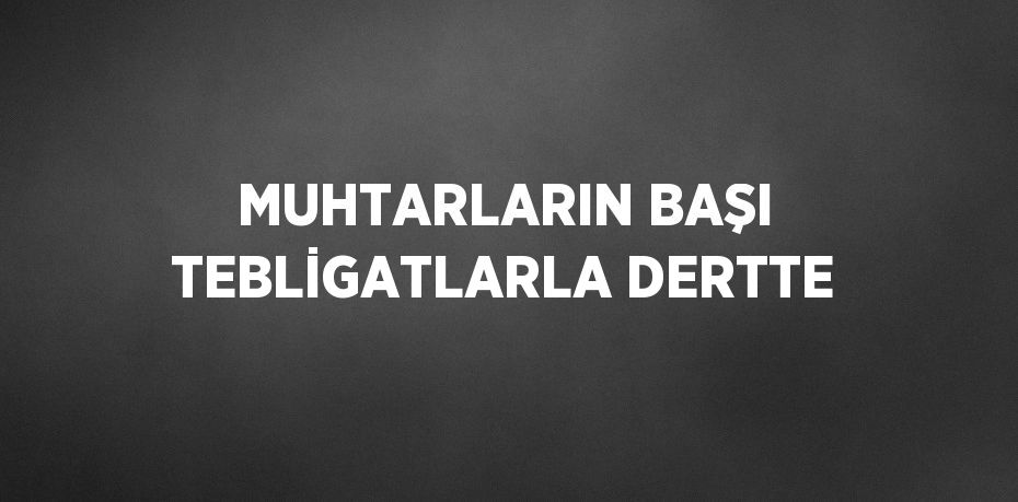 MUHTARLARIN BAŞI TEBLİGATLARLA DERTTE