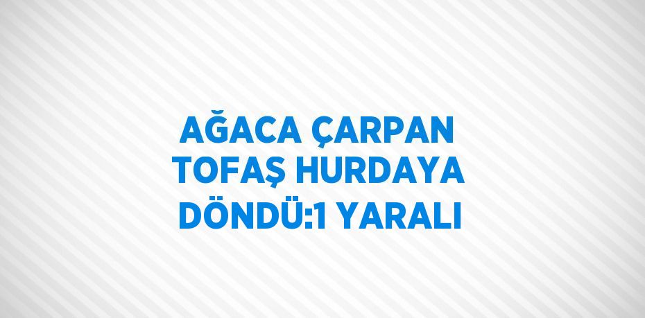 AĞACA ÇARPAN TOFAŞ HURDAYA DÖNDÜ:1 YARALI