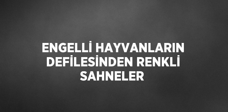 ENGELLİ HAYVANLARIN DEFİLESİNDEN RENKLİ SAHNELER