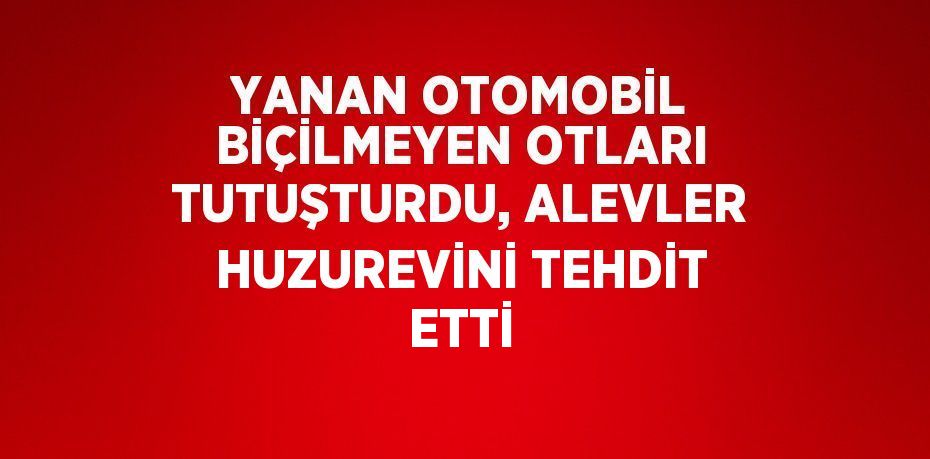 YANAN OTOMOBİL BİÇİLMEYEN OTLARI TUTUŞTURDU, ALEVLER HUZUREVİNİ TEHDİT ETTİ