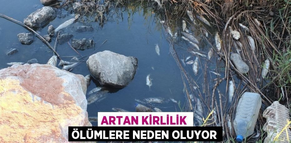 Artan kirlilik ölümlere neden oluyor